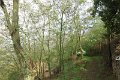 IMG_0019 (1)